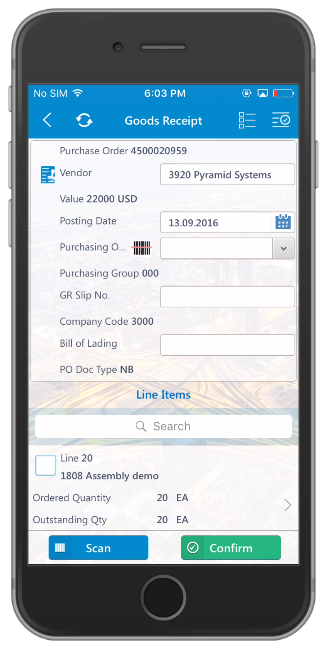 Goods Receipt Purchase Order Details