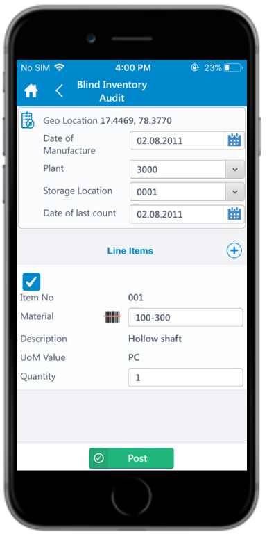 Blind Inventory Audit Details
