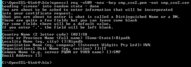 SSO2 - Self-signed Certificate