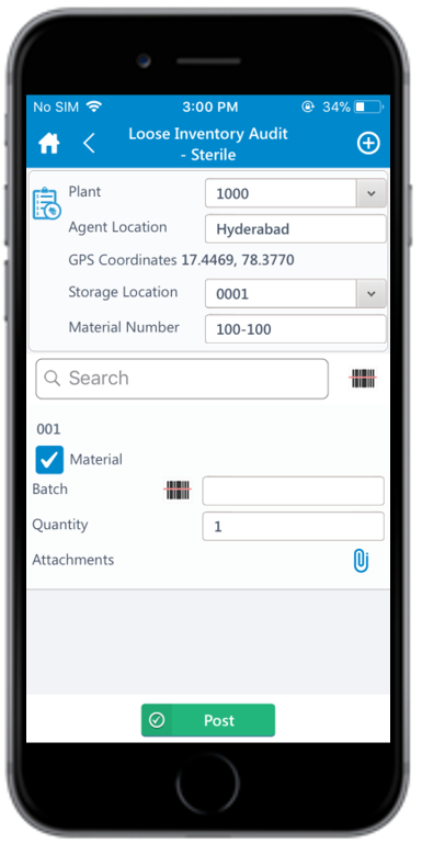 Loose Inventory Audit for batch managed items