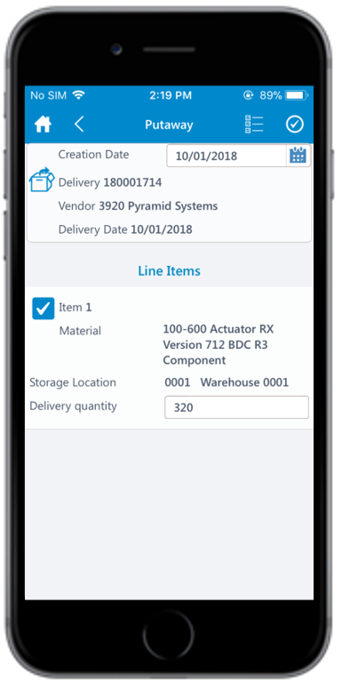 Putaway Line Items