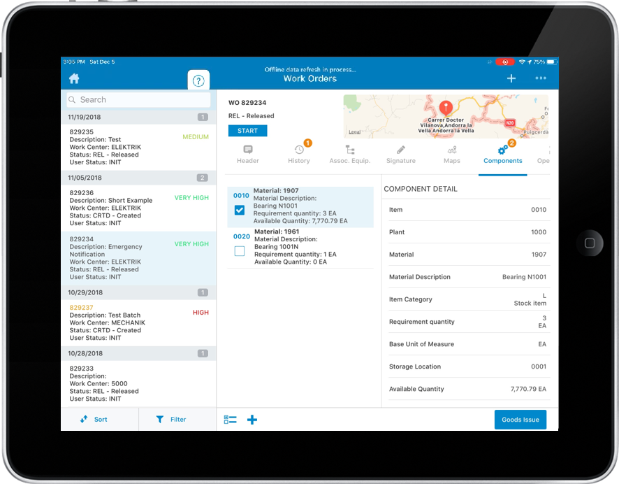 Image of goods issue posting