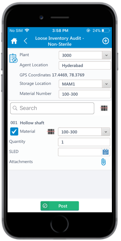 Loose Inventory Audit for non-batch managed items