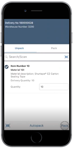 Packing Delivery Document Details