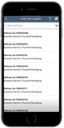 Inbound Delivery Document List