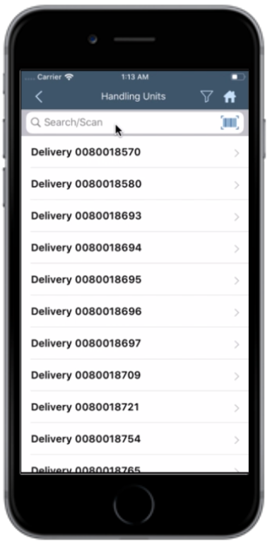 Handling Unit Deliveries