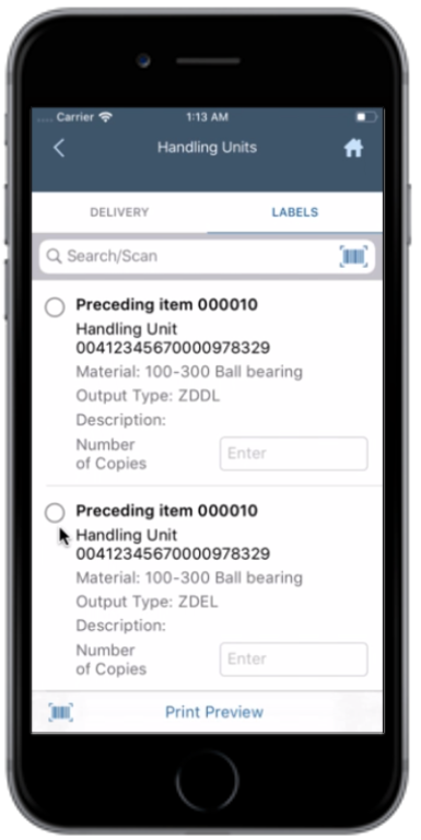 Handling Unit Delivery and Labels tabs
