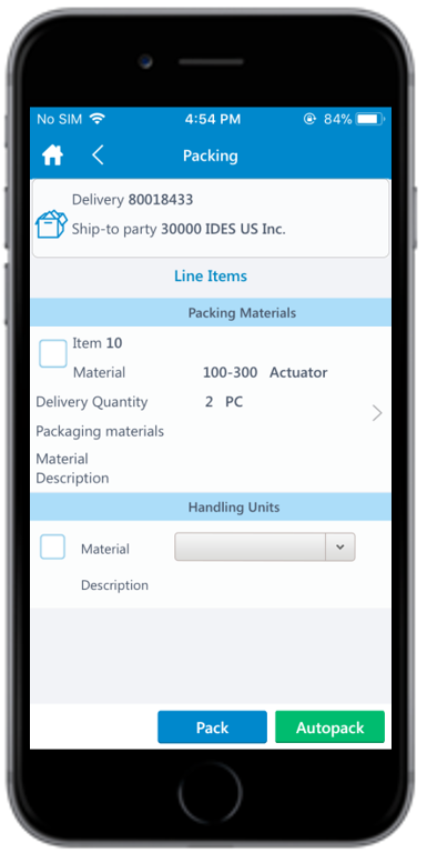 Picking Delivery Document Details