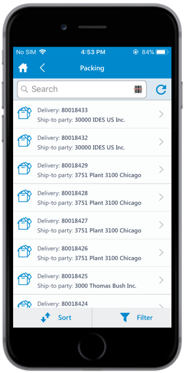 Picking Delivery Document List